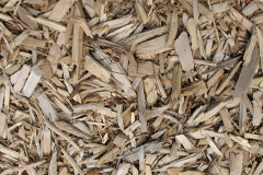 biomass boilers Anderson